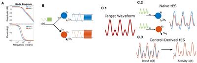 Control-theoretic integration of stimulation and electrophysiology for cognitive enhancement